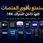 الرئيسية